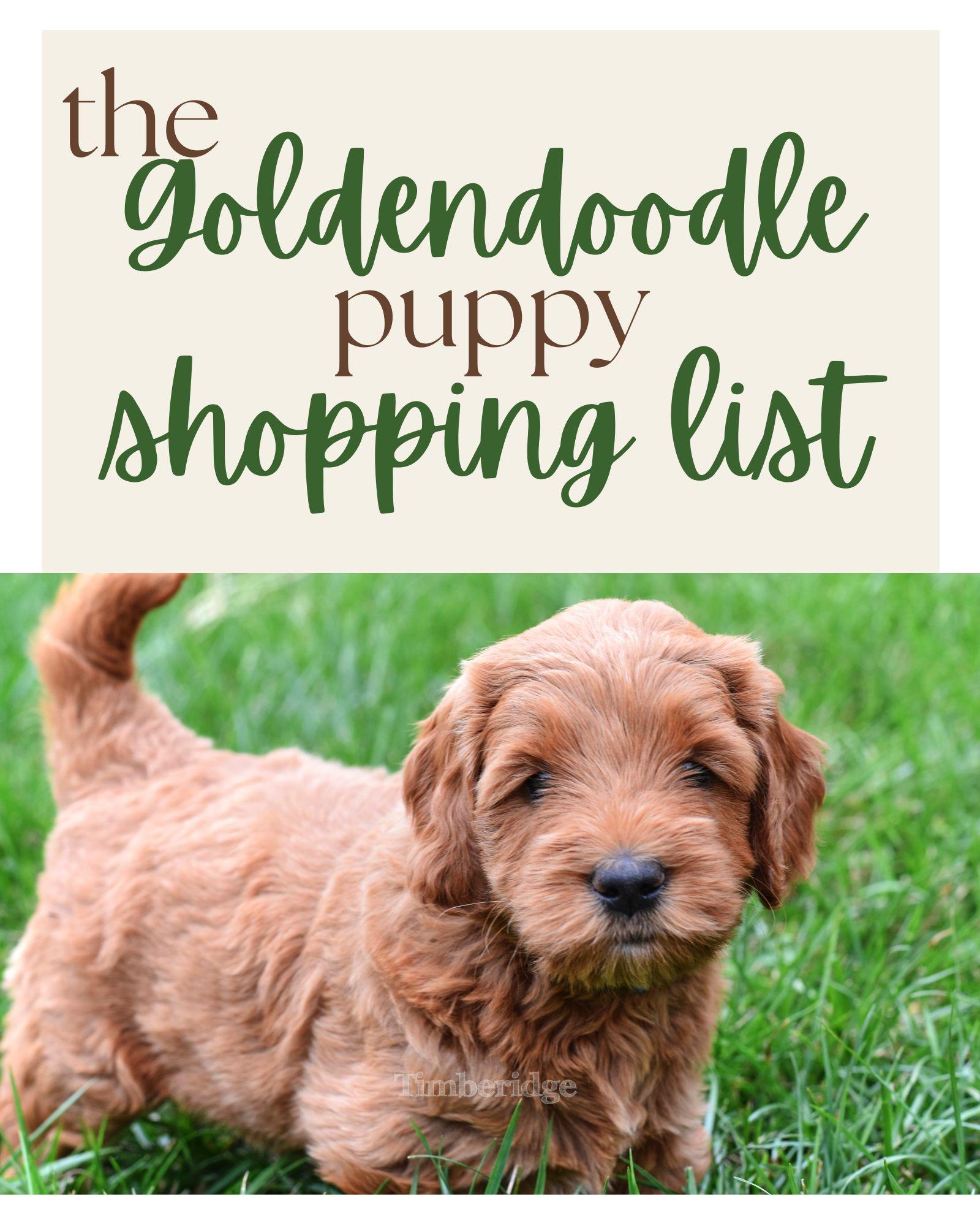 Doodle Puppy Shopping List - Timberidge Goldendoodles